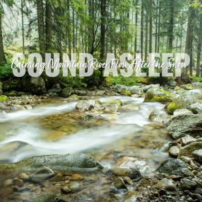 Download track Calming Mountain River Flow After The Snow, Pt. 1 Elijah Wagner