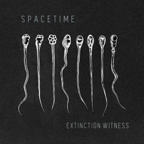 Download track Extinction Witness Spacetime