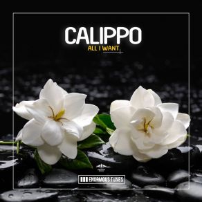 Download track All I Want (Original Club Mix) Calippo