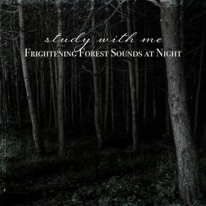 Download track Frightening Forest Sounds At Night, Pt. 20 Sebastian Riegl