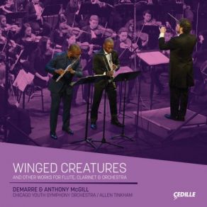 Download track Concerto Duo: II. Mama Dee's Song For Joel Anthony McGill, Allen Tinkham, Chicago Youth Symphony Orchestra, Demarre