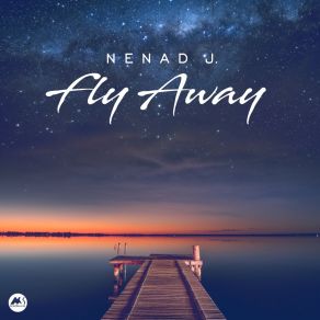 Download track Night Flight (Original Mix) Nenad J