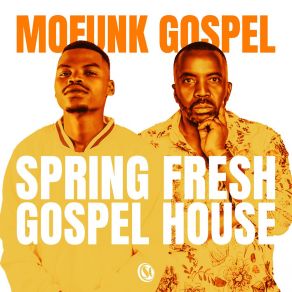 Download track Spirit Guide Us Lungzo Mofunk