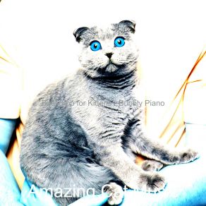 Download track Piano Jazz Soundtrack For Kittens Amazing Cat Music