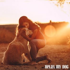 Download track Beautiful World Dog Calming Music