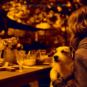 Download track Sparkling Music For Sleeping Dogs Music For Dogs Rhythms