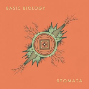 Download track Let Me Let You Go Basic Biology