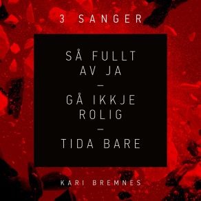 Download track Så Fullt Av Ja Bengt Egil Hanssen