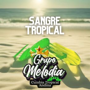 Download track Una Triste Canción Grupo Melodía