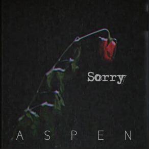 Download track Sorry, Pt. 2 Aspen