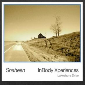 Download track 8 Northshore Drive Shaheen