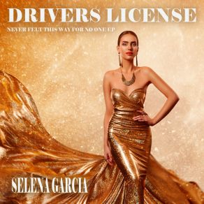 Download track Drivers License (Instrumental Club Mix) Selena Garcia