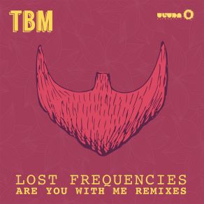 Download track Are You With Me (Extended Mix) Lost Frequencies