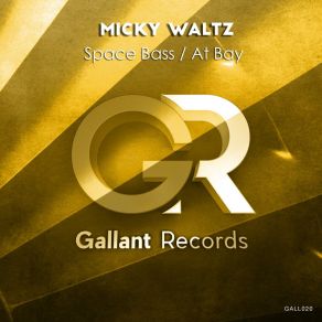 Download track Space Bass (Extended Mix) Micky Waltz