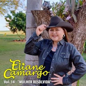 Download track É Tempo De Se Apaixonar Eliane Camargo