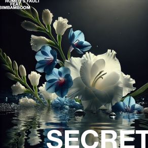 Download track SECRET (Personal Secret Rendezvous Edit) BimBamBoomThere Is No One But Me