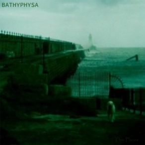 Download track The Beach Is A Pane Of Glass Bathyphysa