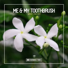 Download track What You Got (Extended Mix) Me My Toothbrush