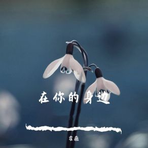 Download track 在你的身边 (慢速降调版) 霍薇