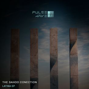 Download track Low (Original Mix) The Sahoo Conection