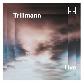 Download track Murmuration (Live) TRILLMANN