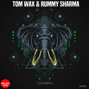 Download track Elephants (Elephants Rummy Sharma Mix) Rummy Sharma