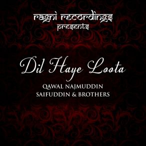 Download track Dil Haye Loota Brothers