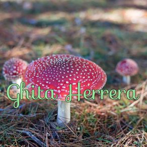 Download track Past Habit Ghita Herrera