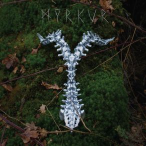 Download track Devil In The Detail Myrkur