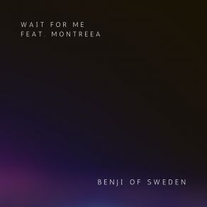 Download track Wait For Me (Extended Version) Montreea