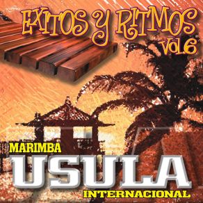 Download track Luces De New York Marimba Usula Internacional