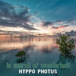 Download track In Search Of Wonderland Hyppo Pothus