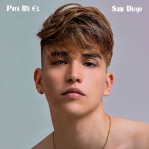 Download track Amores De Verano Sam Diego