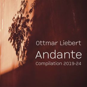 Download track Dreamy Afternoon Ottmar Liebert