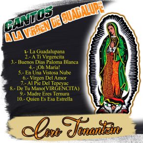 Download track Quien Es Esa Estrella Coro Tonantzin