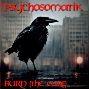 Download track Burn (The Cure's Cover Instrumental) Psychosomatik