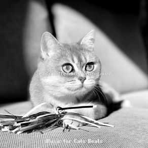 Download track Sleeping Cats - Memories Music For Cats Beats