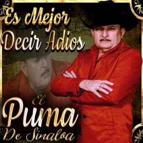 Download track Dejenme Llorar El Puma De Sinaloa