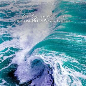 Download track Thrilling Ocean Waves Ambience, Pt. 16 Sebastian Riegl