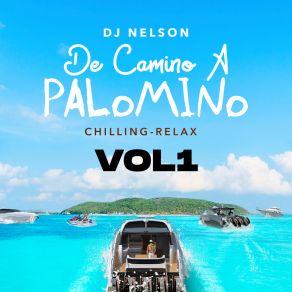 Download track Hoy Se BeBe DJ NelsonJowell, Alejandro Armes