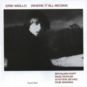 Download track Searching For Hidden Pictures Erik Wøllo