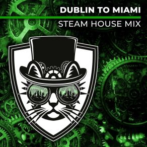 Download track Dublin To Miami (Chris Cooper Remix) Cats On Bricks