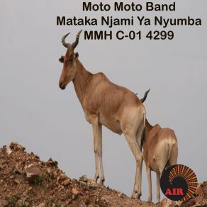 Download track Mataka Njami Ya Nyumba 1 / 2 Moto Moto Band