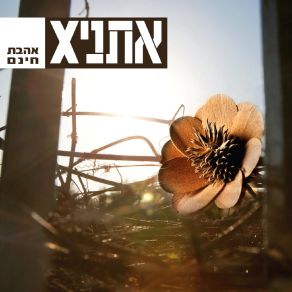 Download track העיר הלבנה Ethnix