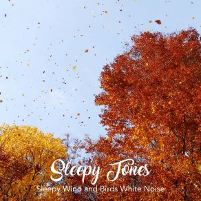 Download track Sleepy Wind And Birds White Noise, Pt. 18 Jason Rivers