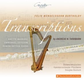 Download track Lieder Ohne Worte, Op. 85 VI. Allegretto Con Moto (Arr. For Oboe And String Orchestra By Andreas N. Tarkmann) Ramon Ortega Quero