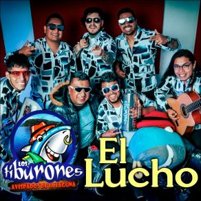 Download track La Suegra Los Tiburones Avispados De La Laguna