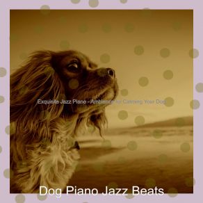 Download track Cheerful Backdrops For Calming Your Dog Dog Jazz Beats