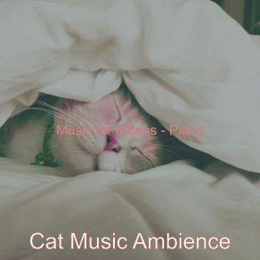 Download track Subtle Resting Cats Cat Music Ambience