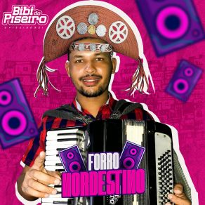 Download track Garota Proibida Bibi Do Piseiro